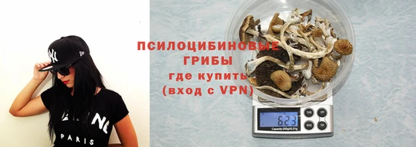 spice Алексеевка