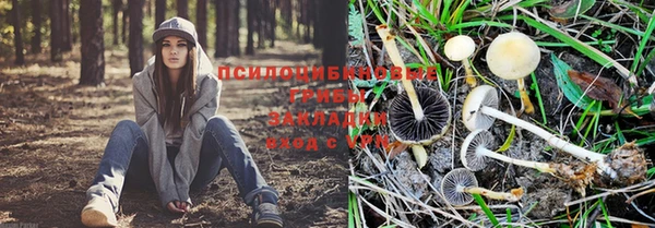 скорость Коряжма