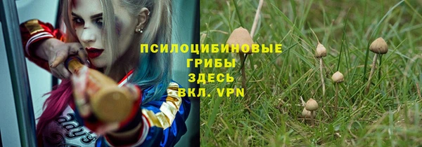 spice Алексеевка