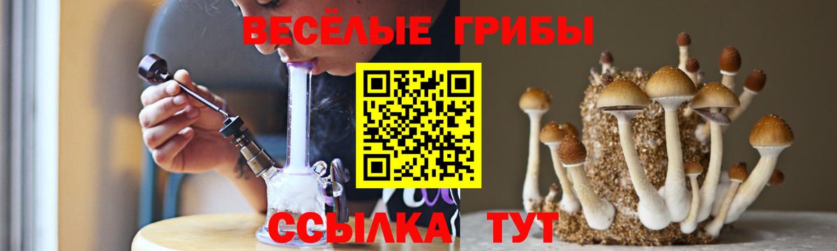 Соликамск  Псилоцибиновые грибы Psilocybe  Вход с VPN 